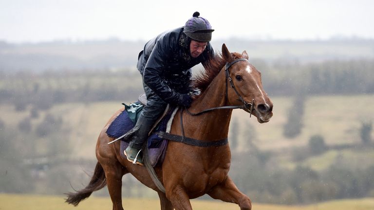 Benbens rides out on the gallops during the stable visit at Grange Hill Farm, Cheltenham.