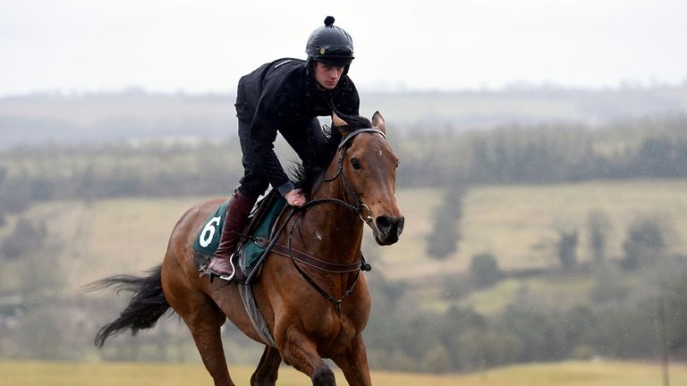 Cogry rides out on the gallops during the stable visit at Grange Hill Farm, Cheltenham.