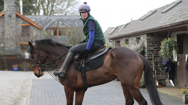 Douvan during a visit to Closutton, Carlow, Ireland.