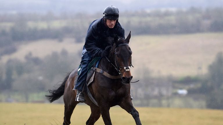 Foxbridge rides out on the gallops during the stable visit at Grange Hill Farm, Cheltenham.