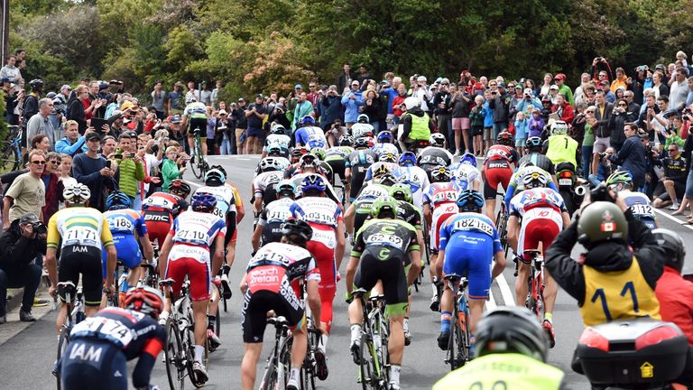 Cyclists in the 2015 Cadel Evans Great Ocean Road Race