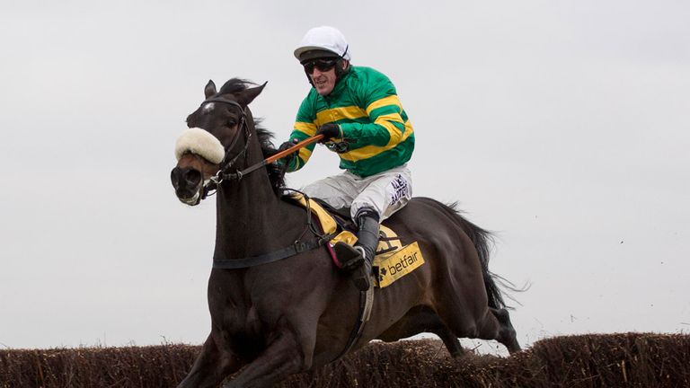 Tony McCoy and Mr Mole clear the last fence before going on to win The Betfair Price Rush Steeple Chase Race during Betfair Super Saturday at Newbury Racec