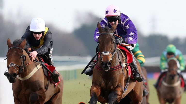Closing Ceremony takes the final flight just ahead of Seeyouatmidnight with At Fishers Cross (obscured behind the leader) in behind.