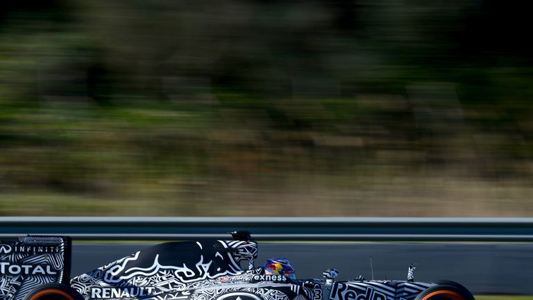 Daniel Ricciardo in the Red Bull