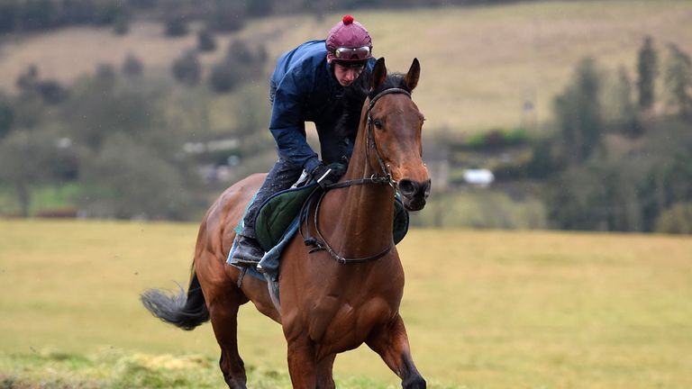 Little Jon rides out on the gallops during the stable visit at Grange Hill Farm, Cheltenham.
