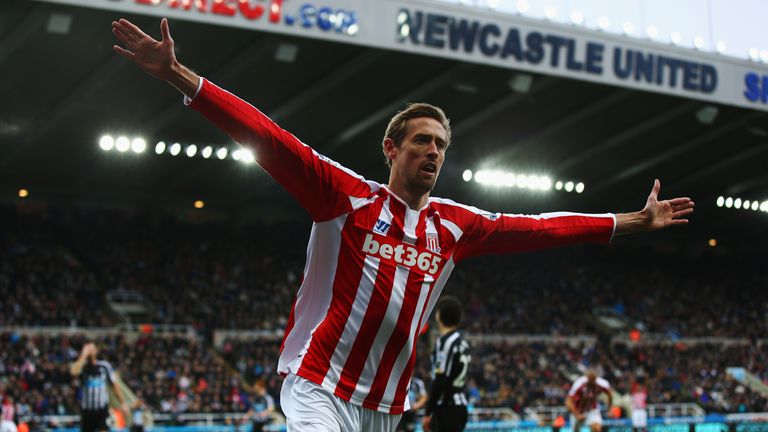 Peter Crouch celebrates