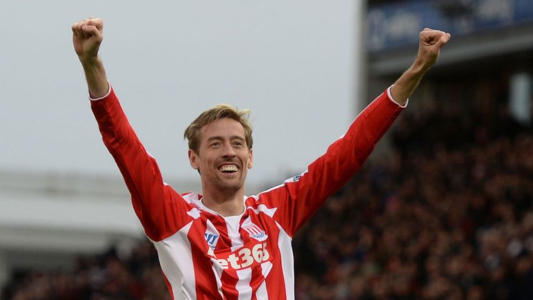 Peter Crouch celebrates 