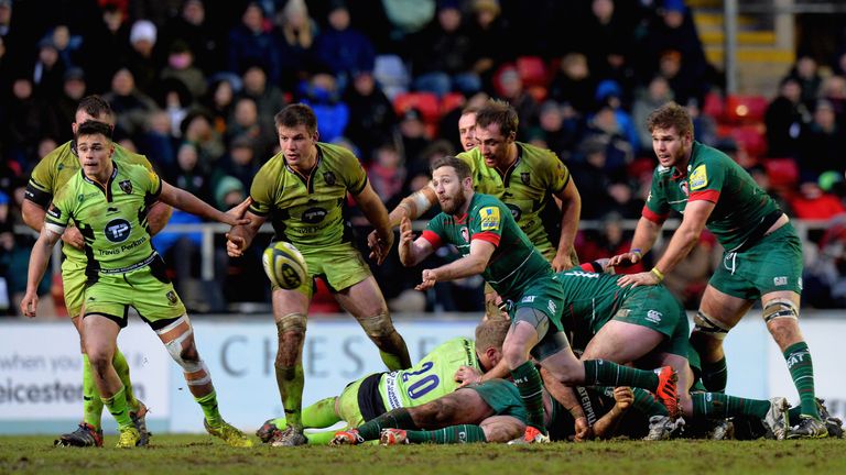 David Mele Leicester Tigers