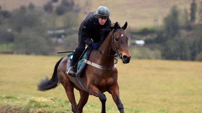 Splash of Ginge rides out on the gallops during the stable visit at Grange Hill Farm, Cheltenham.