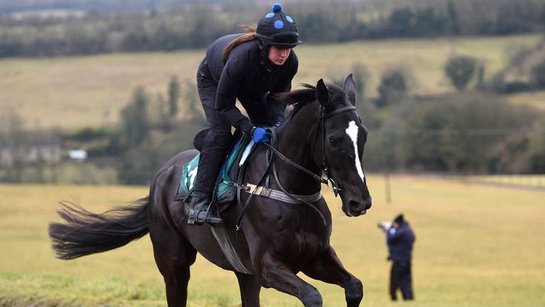 Sybarite rides out on the gallops during the stable visit at Grange Hill Farm, Cheltenham.