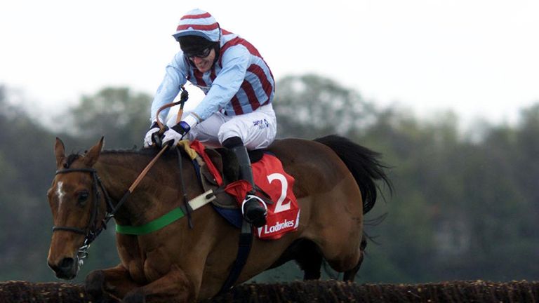 Tony McCoy and Edredon Bleu lead over the last fence at Sandown