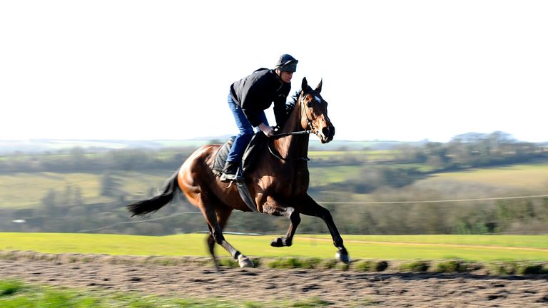 Wayne Jones riding The New One work up the gallop at Nigel Twiston-Davies' Grange Farm stables