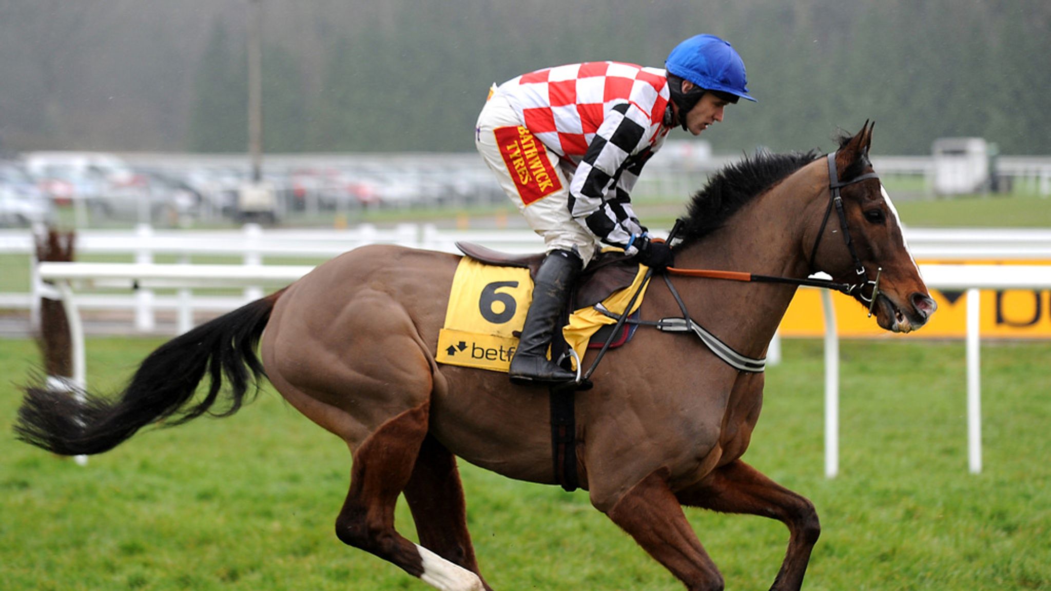 David Bridgwater won't rush The Giant Bolster | Racing News | Sky Sports