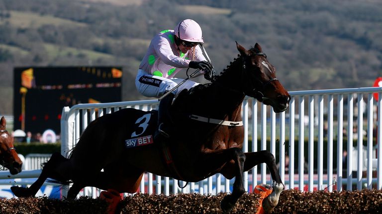 Douvan jumps the last in style under Ruby Walsh on his way to winning the Sky Bet Supreme Novices' Hurdle at the 2015 Cheltenham Festival