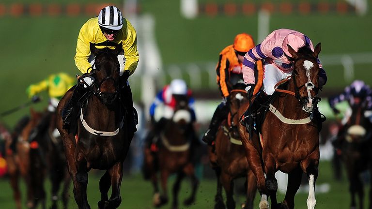 Bitofapuzzle and Activial being prepared for travel by Harry Fry ...