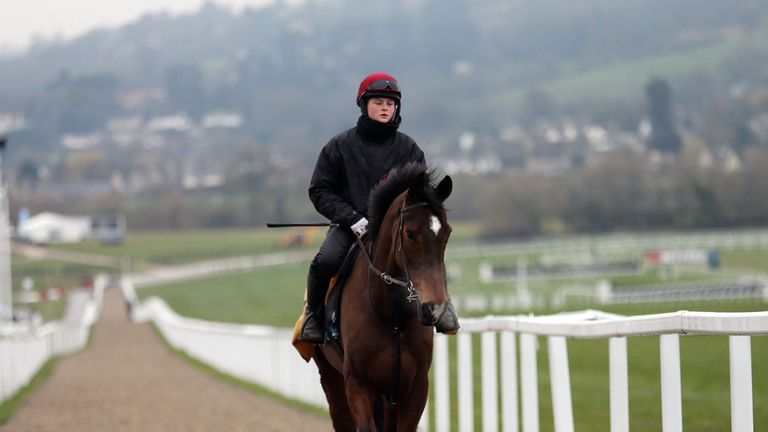 Boxer George makes its way back from the gallops on Gold Cup Day during the Cheltenham Festival at Cheltenham Racecourse. PRESS ASSOCIATION Photo. Picture 