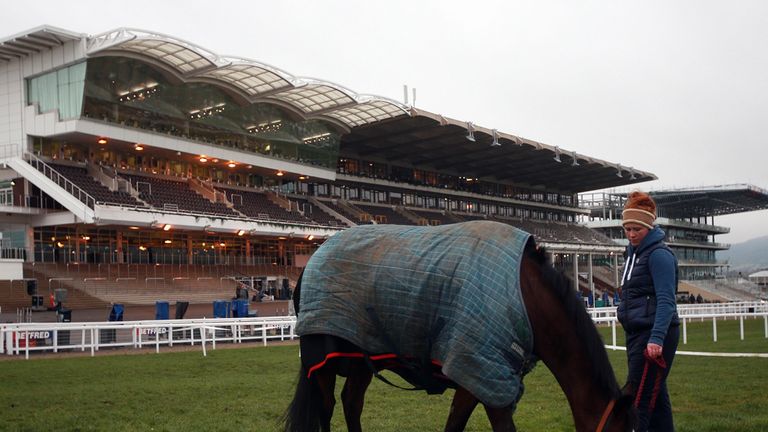 Kauto Grand Mogol, Kauto Star's half brother, grazes on the course on Gold Cup Day during the Cheltenham Festival at Cheltenham Racecourse. PRESS ASSOCIATI
