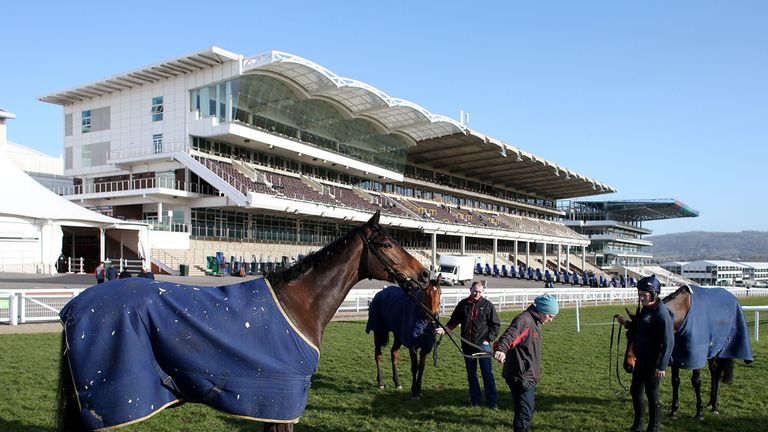 Horses make their way back from the gallops on Champion Day at Cheltenham Racecourse.