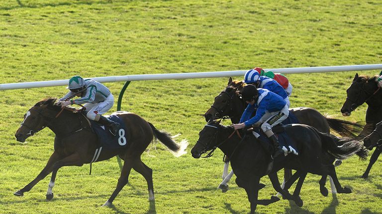 NEWMARKET, ENGLAND - OCTOBER 11: Liam Keniry riding Irish Rookie (L) win The Betfred Supports Jack Berry HOuse Maiden Fillies' Stakes at Newmarket racecour