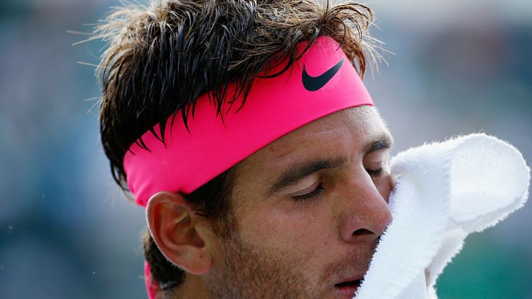 Juan Martin Del Potro of Argentina
