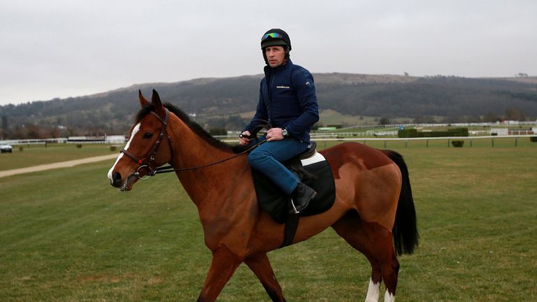 Faugheen on the gallops at Cheltenham Racecourse.
