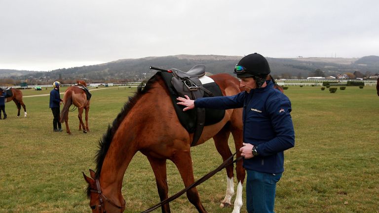 Faugheen on the gallops at Cheltenham Racecourse.