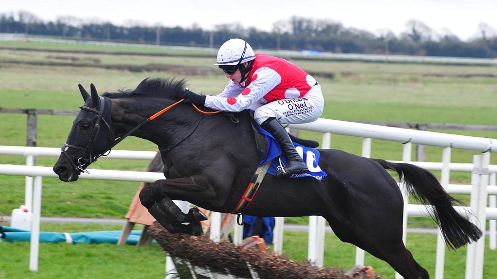 live fairyhouse racing