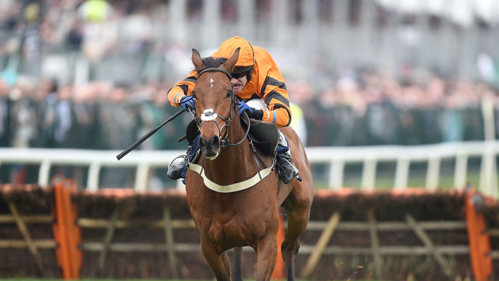 Thistlecrack and Cue Card set for Punchestown Festival Racing News