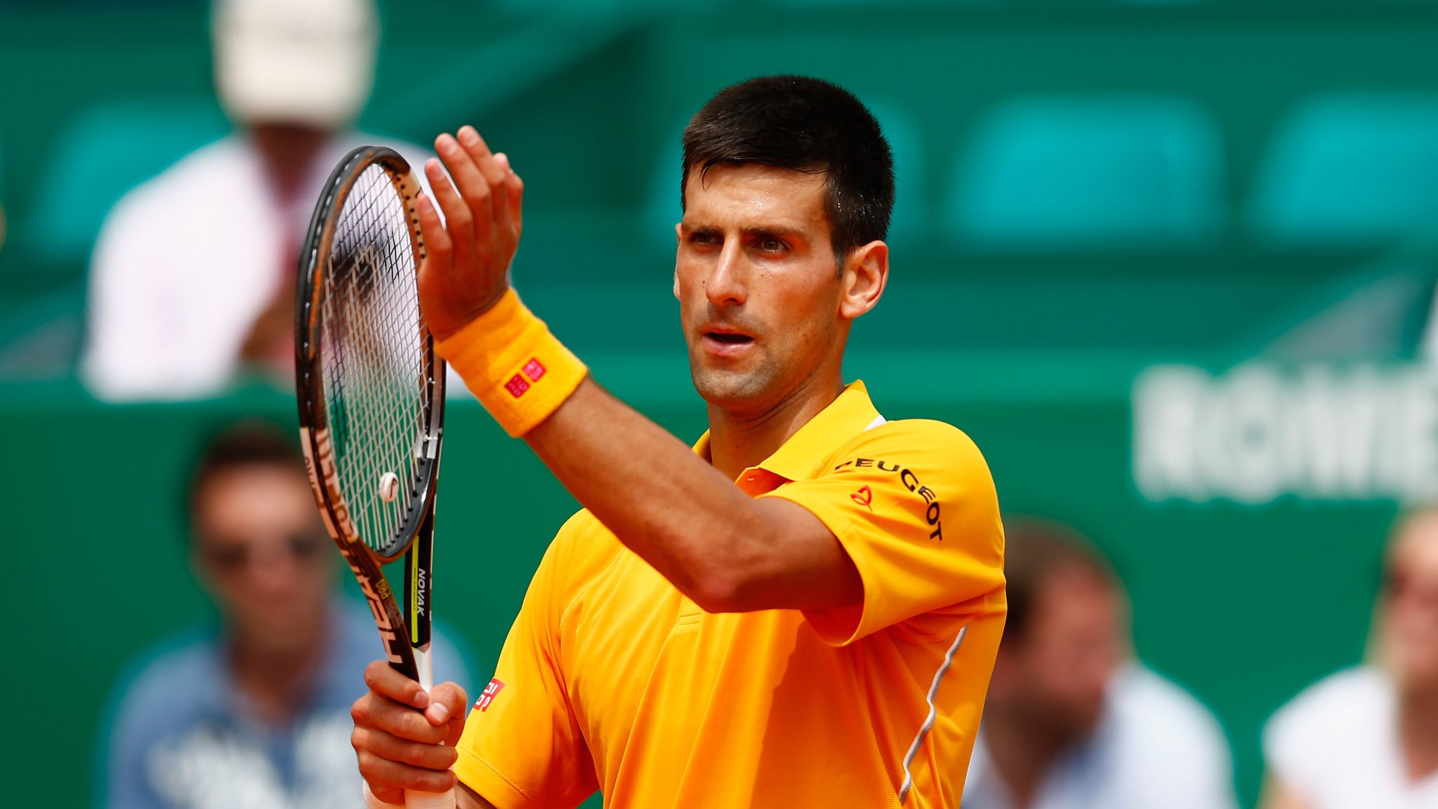 Теннис турнир atp. Новак Джокович победитель. Новак Джокович Rogers Cup 2015. Новак Джокович профессиональная фотосъемка. Новак Джокович bulge.