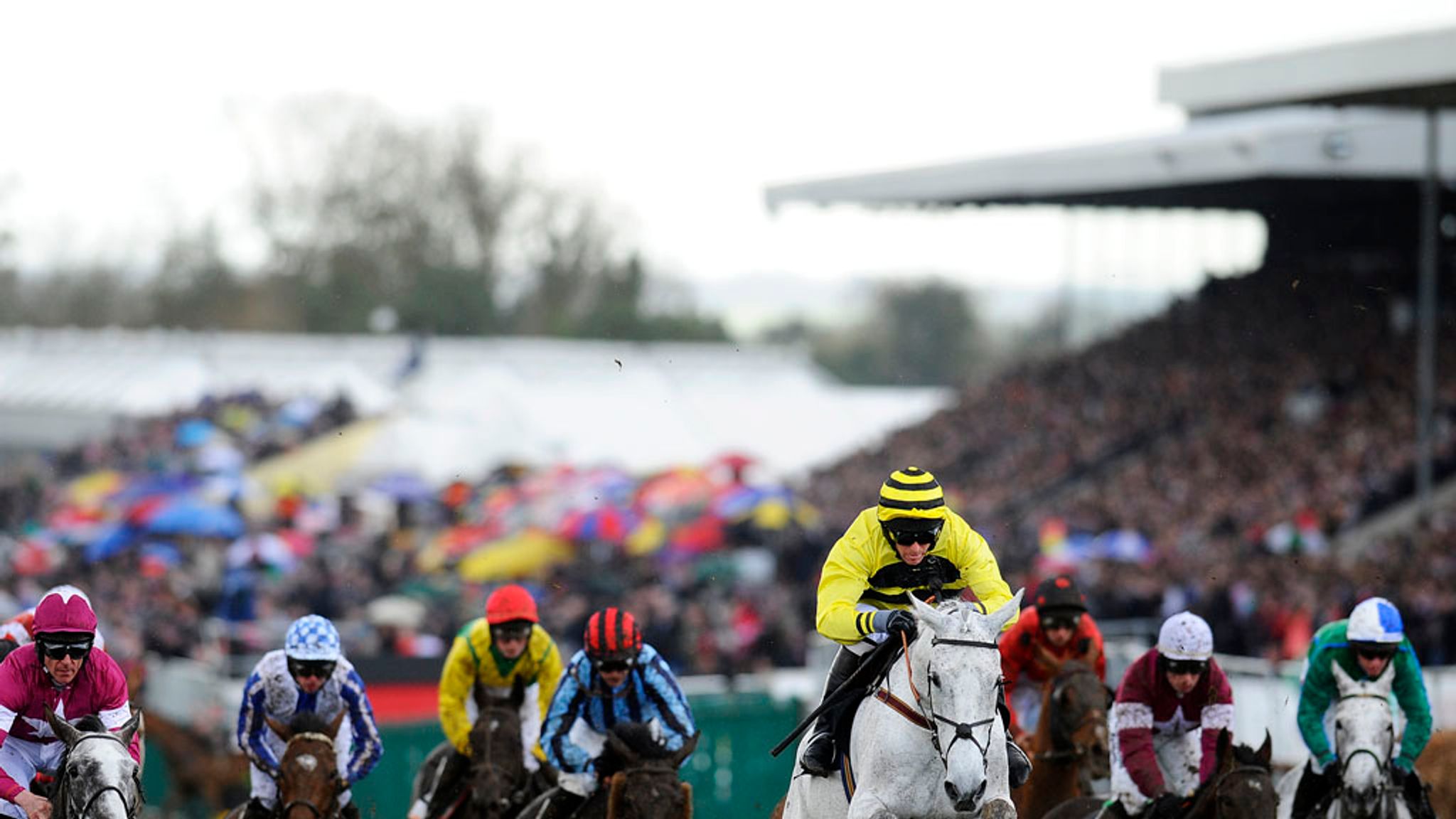 Punchestown will begin a 6.2million euro racecourse upgrade in May 2016