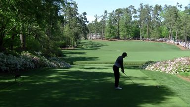 Tiger's snap hook drive