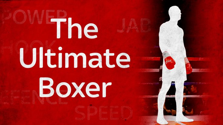 The Ultimate Boxer
