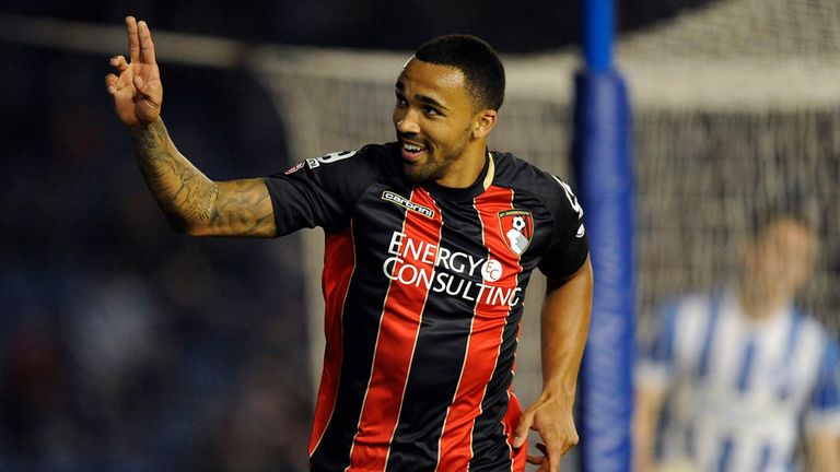 AFC Bournemouth's Callum Wilson celebrates after scoring his side's second goal of the game during the Sky Bet Championship match at the AMEX Stadium