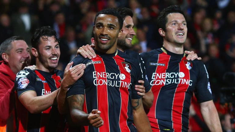 Callum Wilson: Bournemouth celebrate