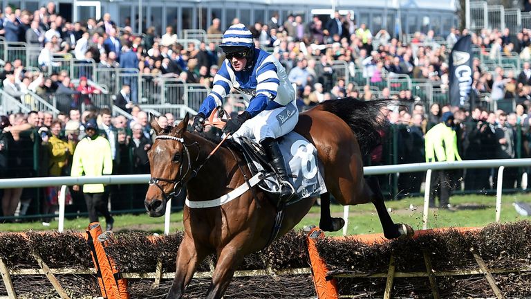 Whisper ridden by Nico de Boinville clears the final flight to win The Silver Cross Stayers' Hurdle Race
