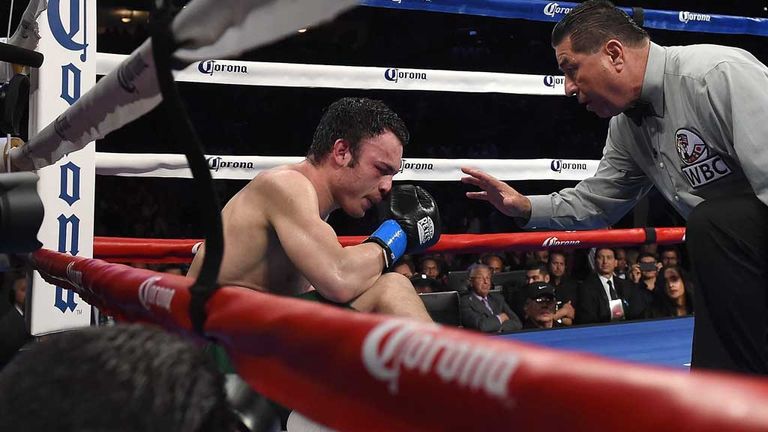 Julio Cesar Chavez Jr, knocked down against Andrzej Fonfara