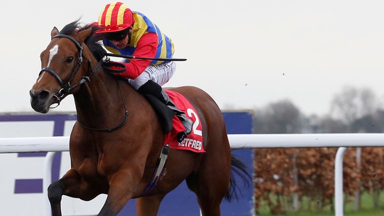 Lady Dutch ridden by Martin Harley leads the field home to win the Listed Betfred Mobile Snowdrop Fillies' Stakes at Kempton