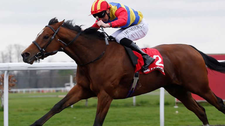 Lady Dutch, ridden by Martin Harley, leads the field home to win the Betfred Mobile Snowdrop Fillies' Stakes at Kempton