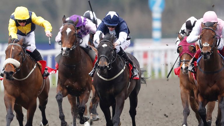 Realize ridden by Shane Gray (left) leads the field home to win the Betfred 'Racing's Biggest Supporter' Handicap Stakes at Kempton