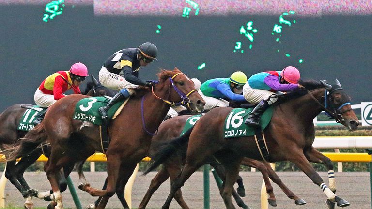 Let's Go Donki (3) Kokorono Ai (16) (Copyright of the JRA)