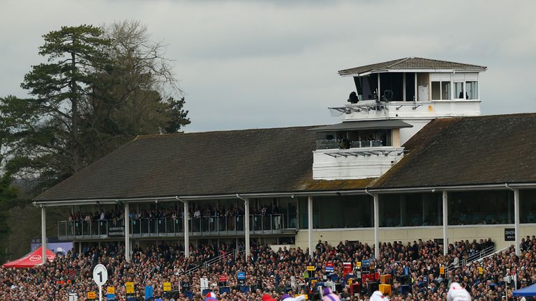 Runners and riders race along the home straight in front of a packed Lingfield Grandstand
