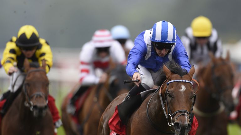 DONCASTER, ENGLAND - SEPTEMBER 13:  Paul Hanagan riding Muthmir win The Ladbrokes Portland at Doncaster racecourse on September 13, 2014 in Doncaster, Engl