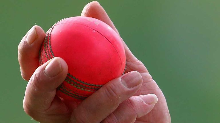 Pink Cricket Ball