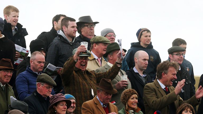 Fans cheer in the Punchestown stands