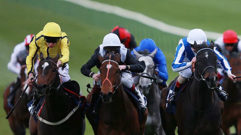 Eventual winner Ceaseless (yellow silks), ridden by Luke Morris, gets up to win the Rossdales Maiden Fillies' Stakes at Newmarket.