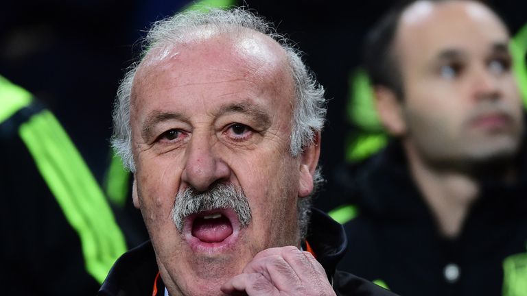 Vicente del Bosque: Spain coach