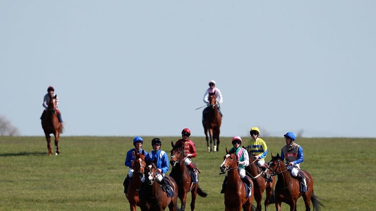 The field makes it's way in after the Swan At Lavenham Wood Ditton Stakes