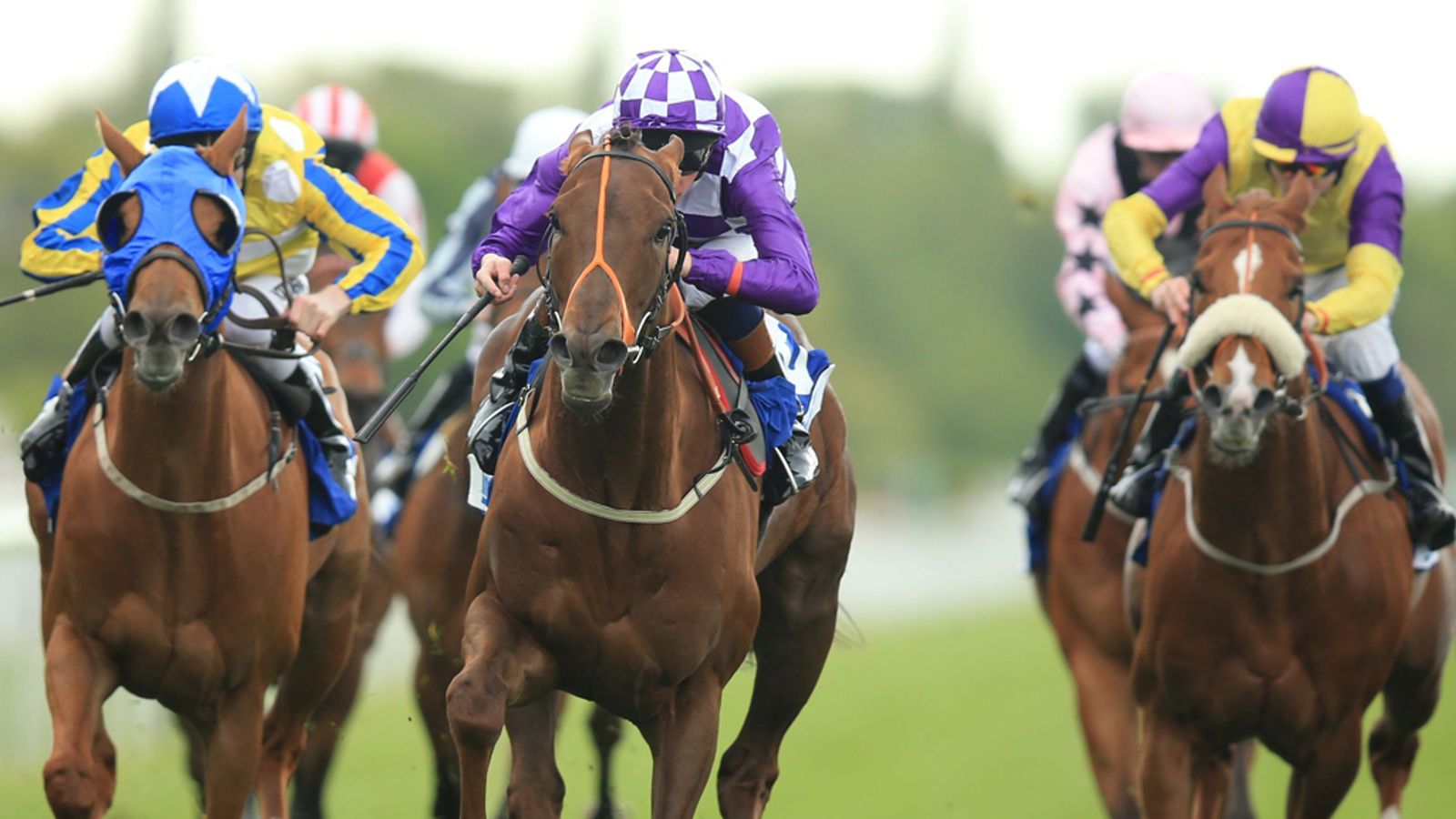 Mahsoob books step up in class | Racing News | Sky Sports