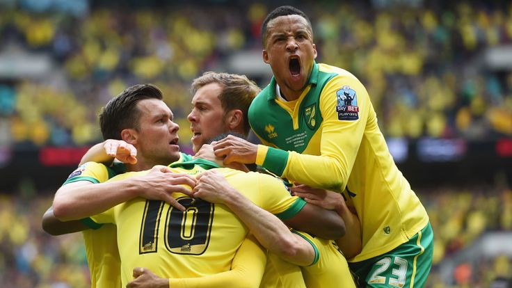 LONDON, ENGLAND - MAY 25:  Cameron Jerome of Norwich City (10) is congratulated by Martin Olsson (23) and team mates as he scores their first goal during t