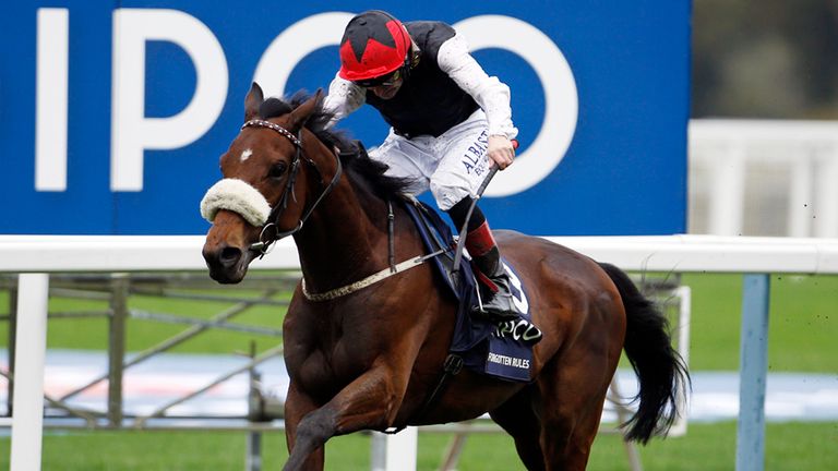 Forgotten Rules, ridden by Pat Smullen, wins the QIPCO British Champions Long Distance Cup at Ascot